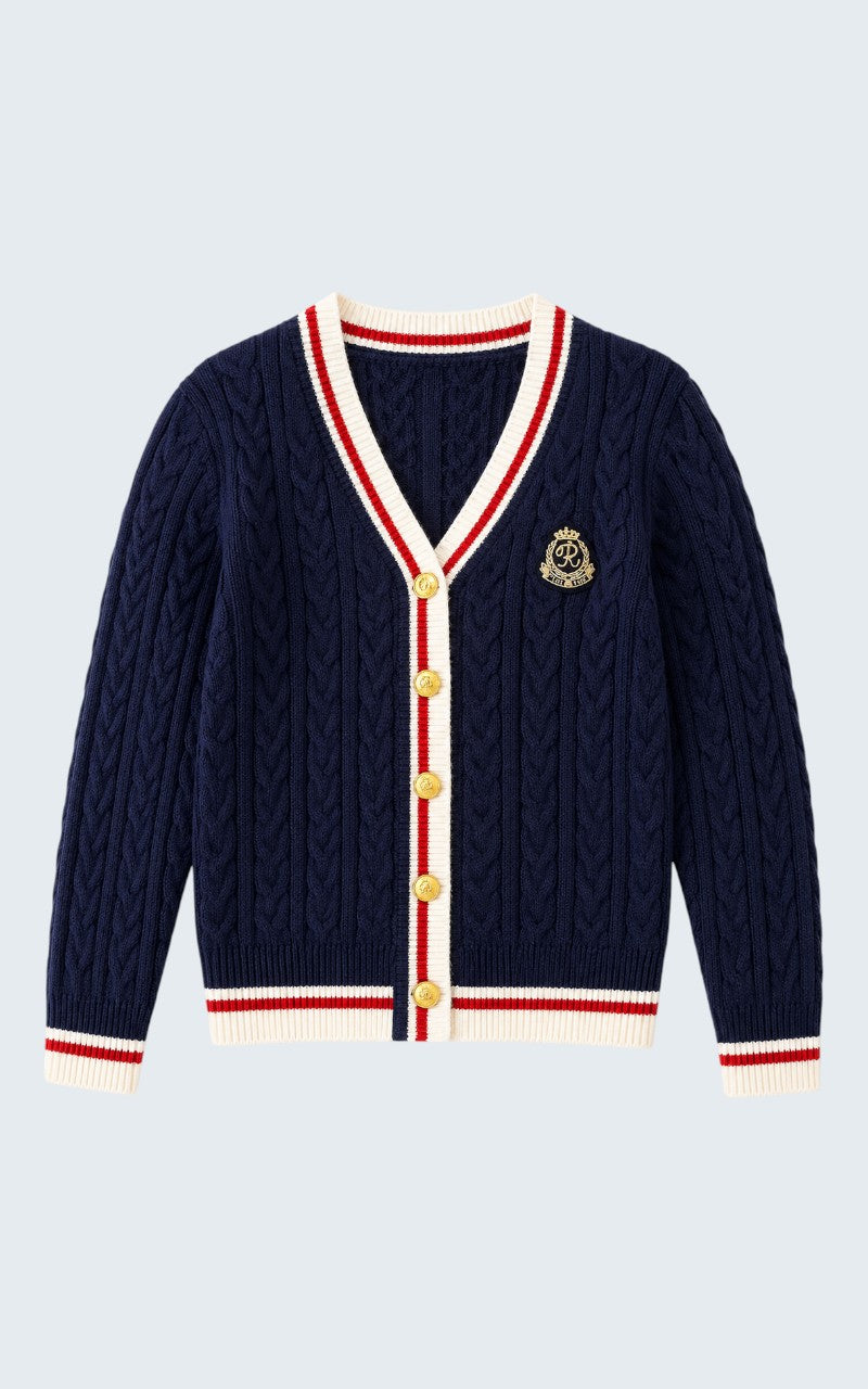 Luxe Cashmere Blend V-Neck Sweater